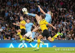 哈兰德2023年传球数据分析