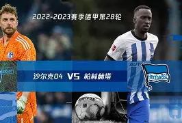 平博官网-勒沃库森对柏林联合比分预测